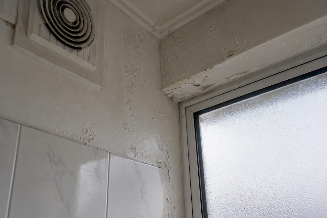 Close-up of peeling paint on damp wall near window